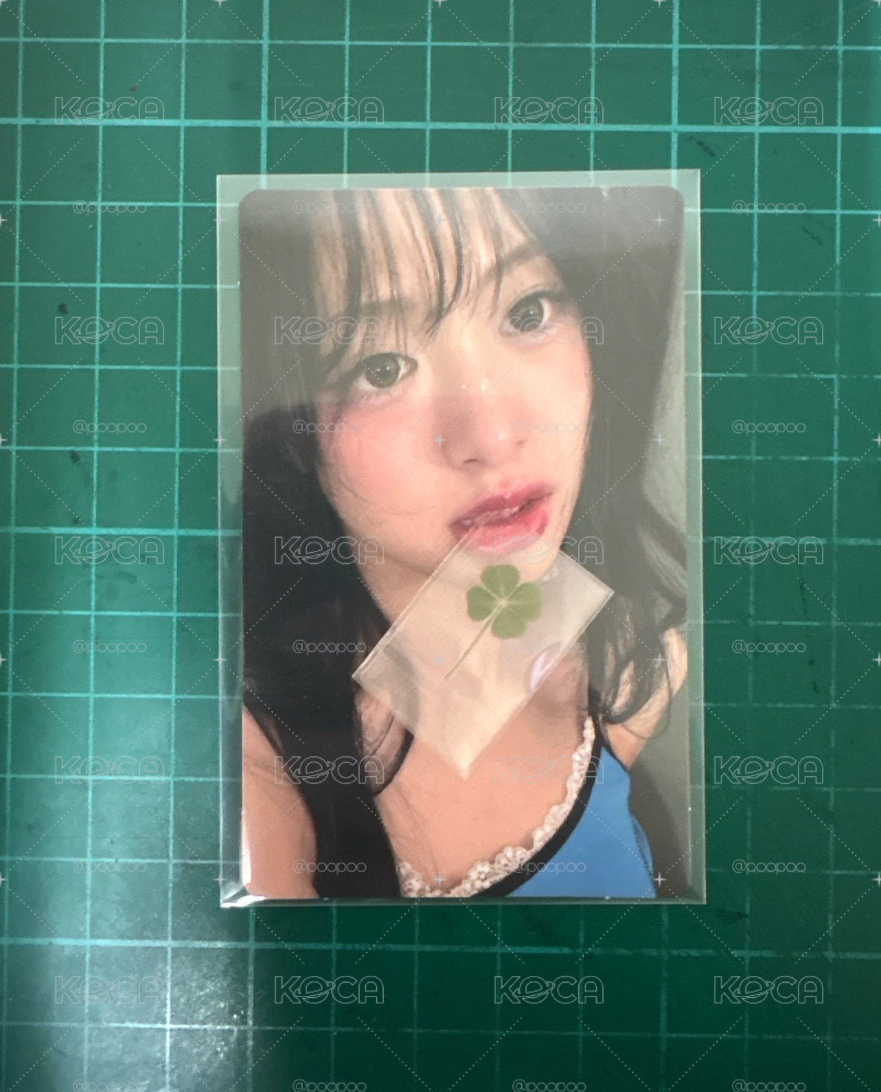 白情四葉草賢含綁物 現貨
