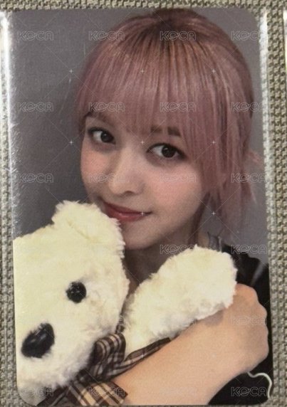小熊莉