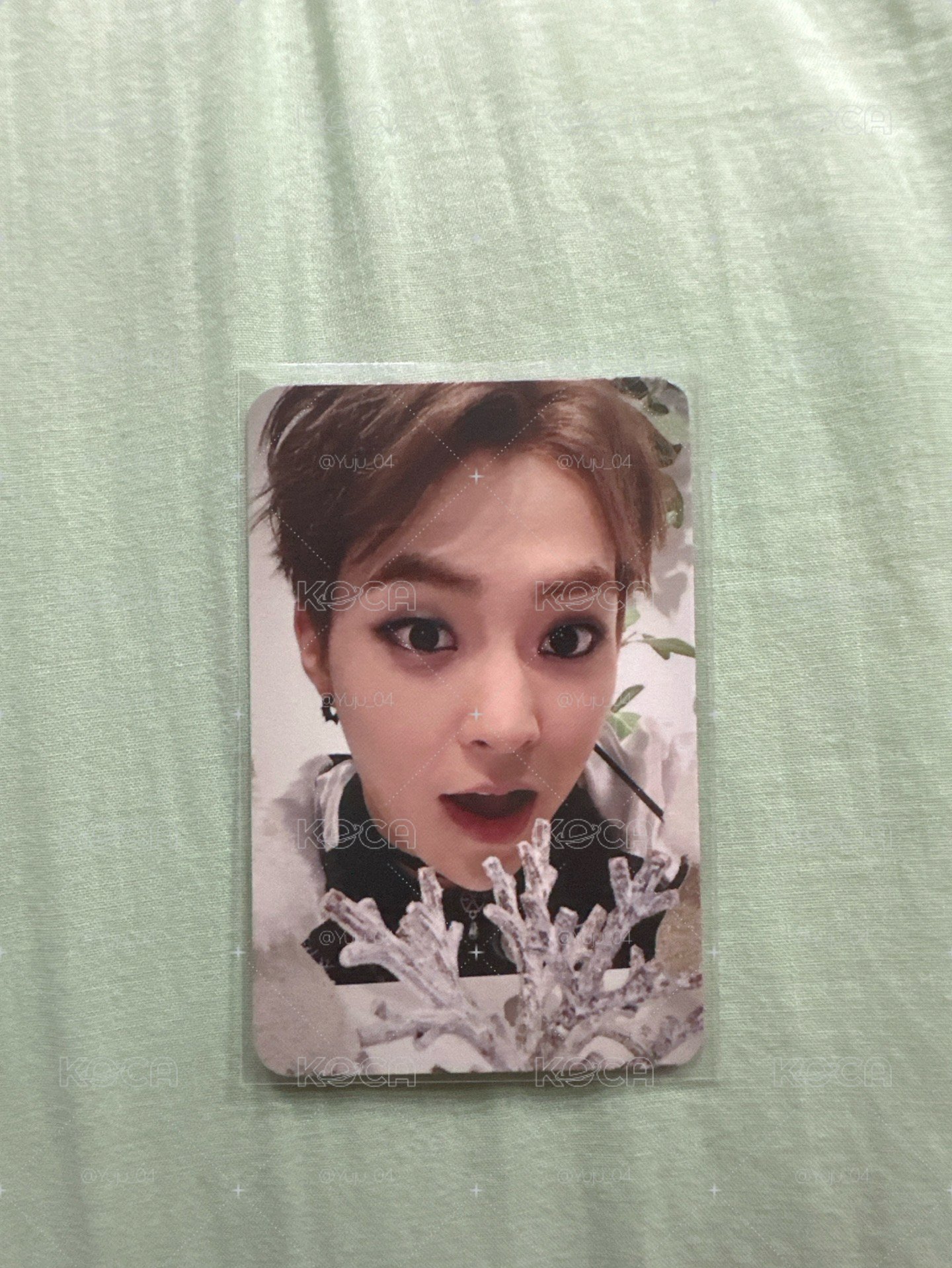 Xiumin 專卡