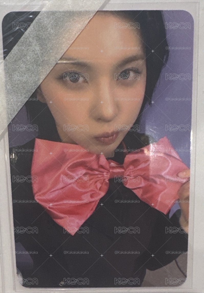 蝴蝶結裴