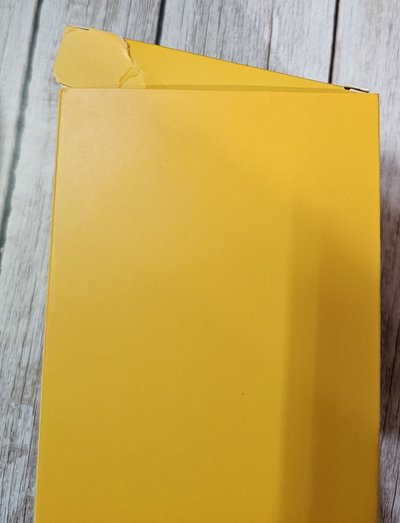 二手 RIIZE 手燈 應援棒