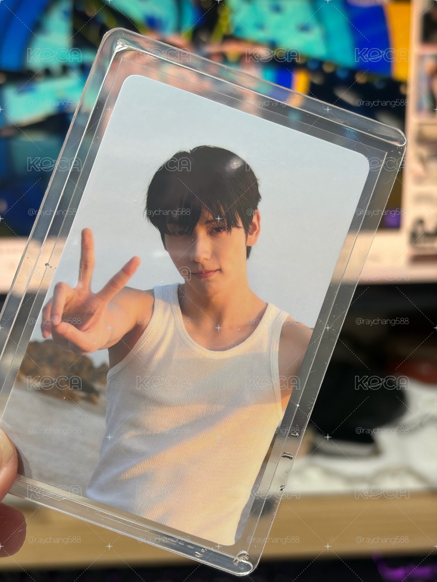 TXT SC場限 秀彬