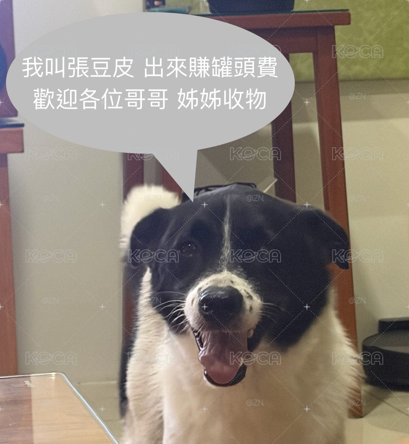彬全專