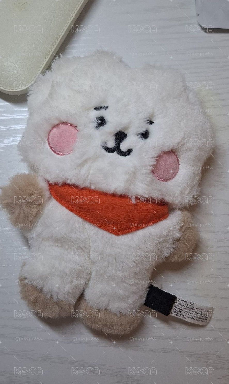 BT21 Baby S娃19絨毛系列RJ
