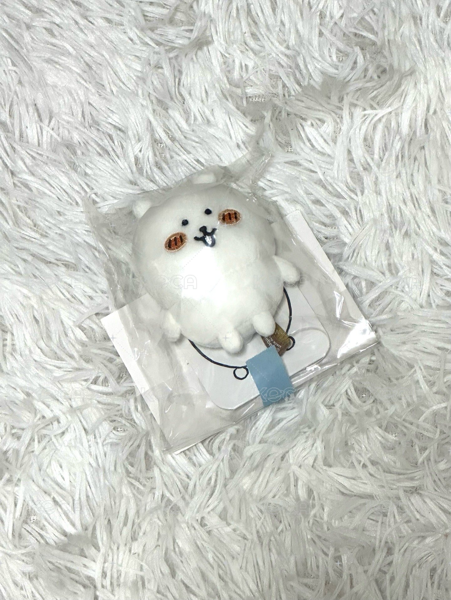 開心熊（現貨）
