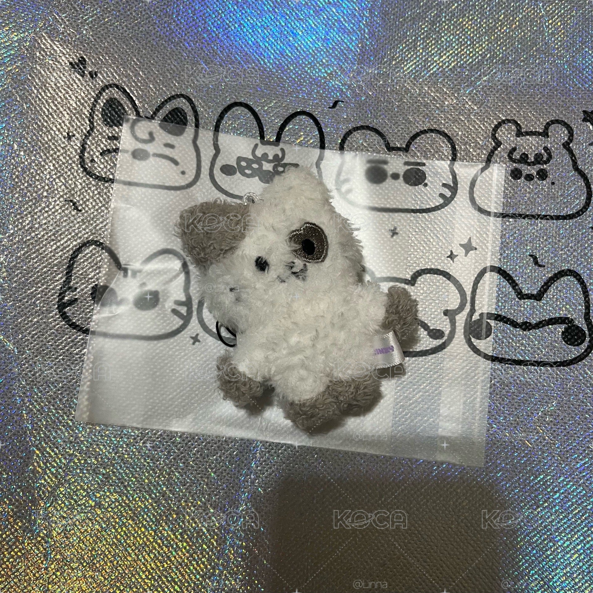 志潦草娃