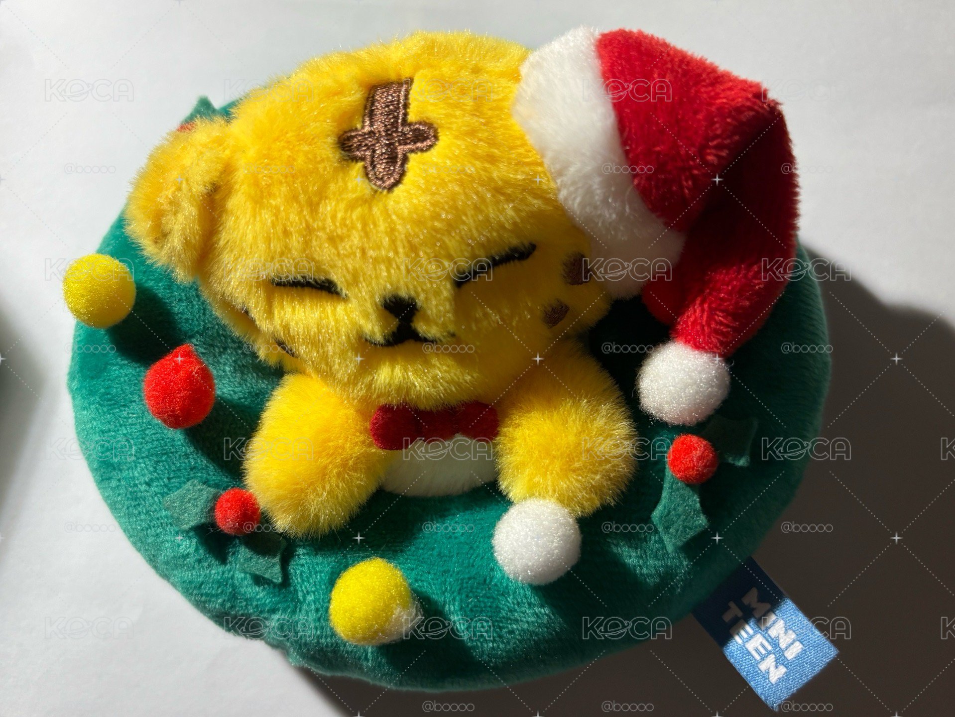 榮聖誕花圈