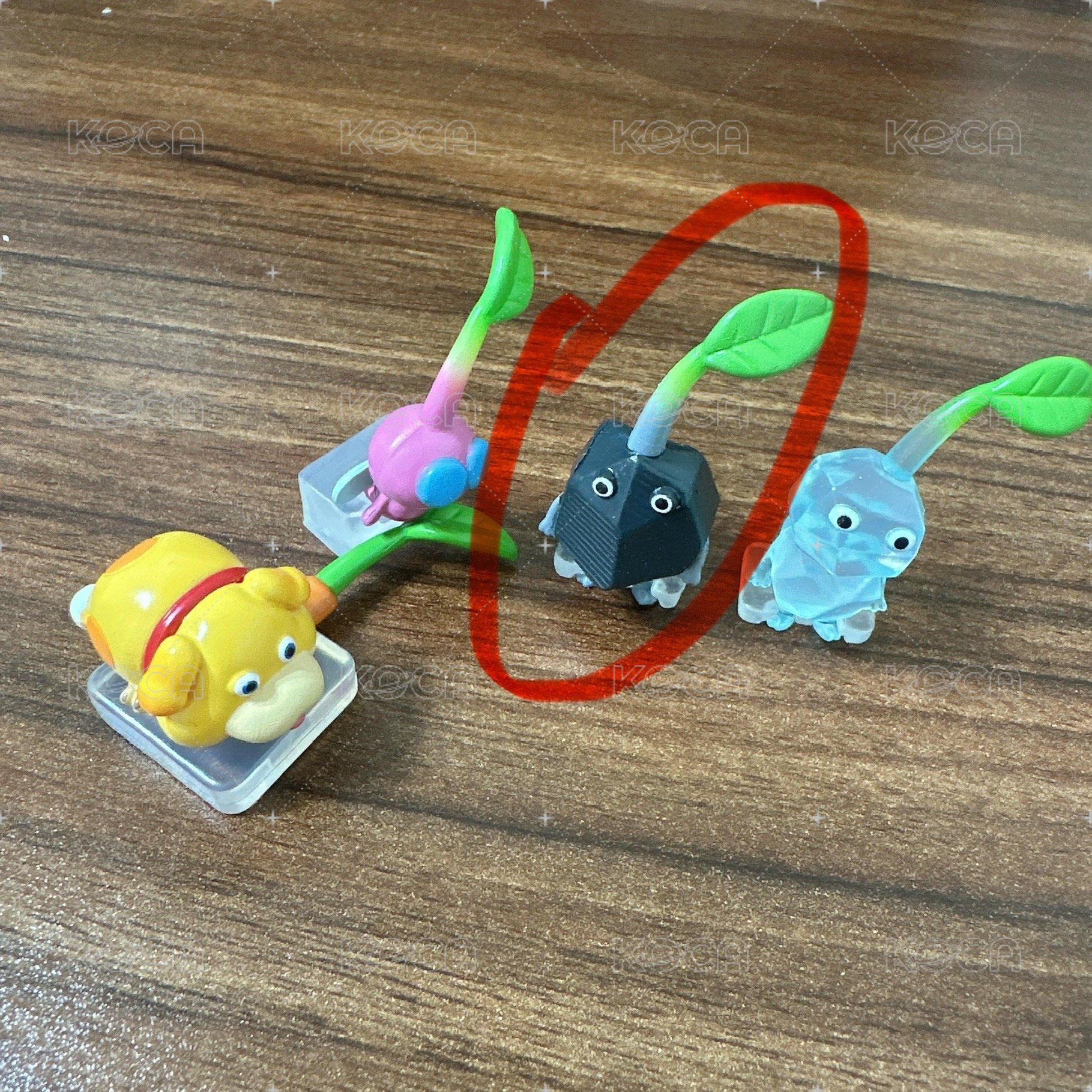 石頭皮
