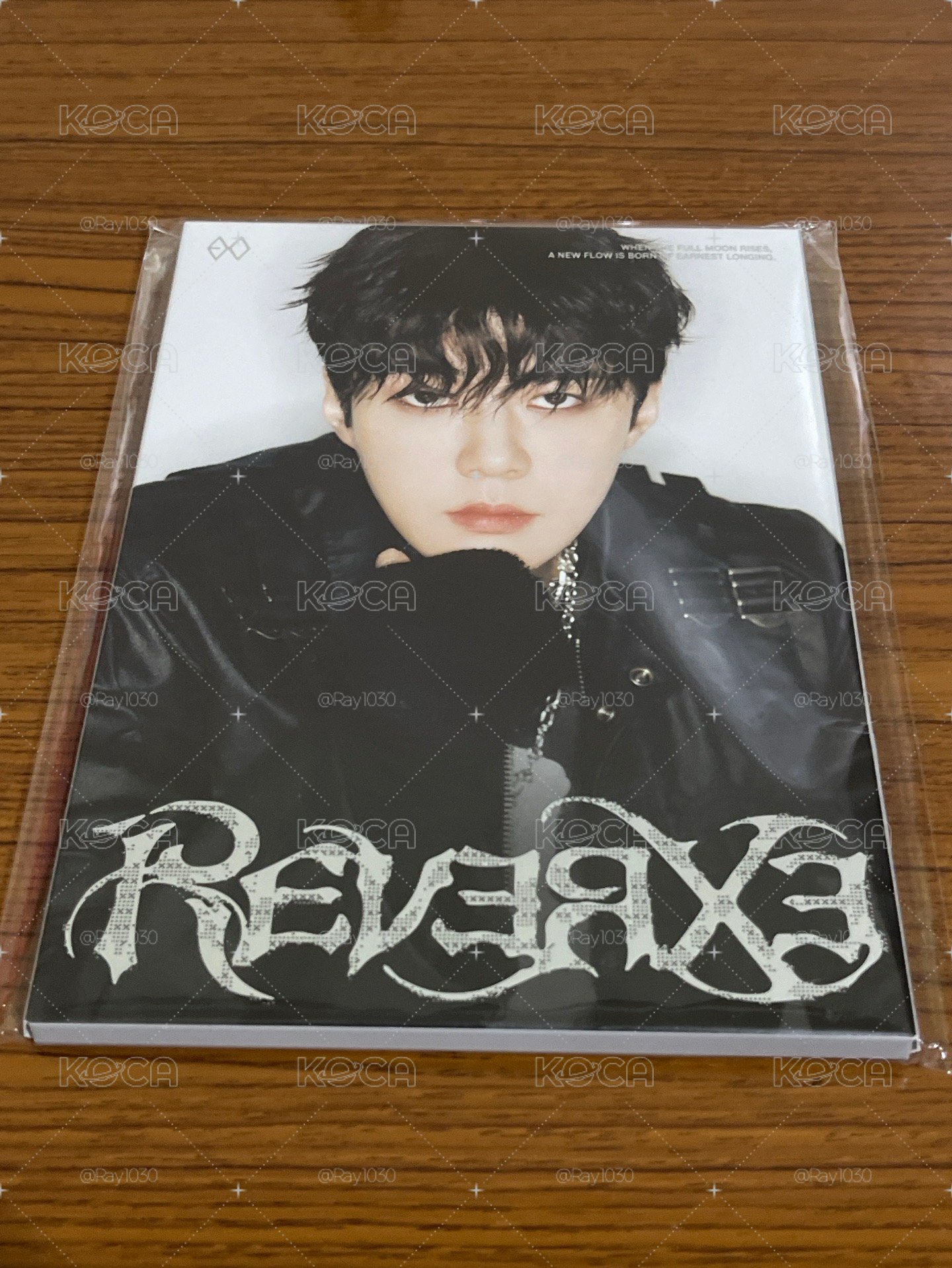 EXO 正八快閃 世勳明信片組