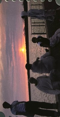 セツナハナビ wvs 票卡 