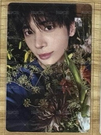 漂亮花花顯