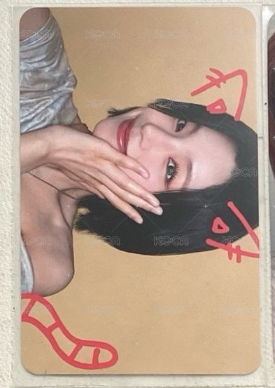 寵物鏡頭志