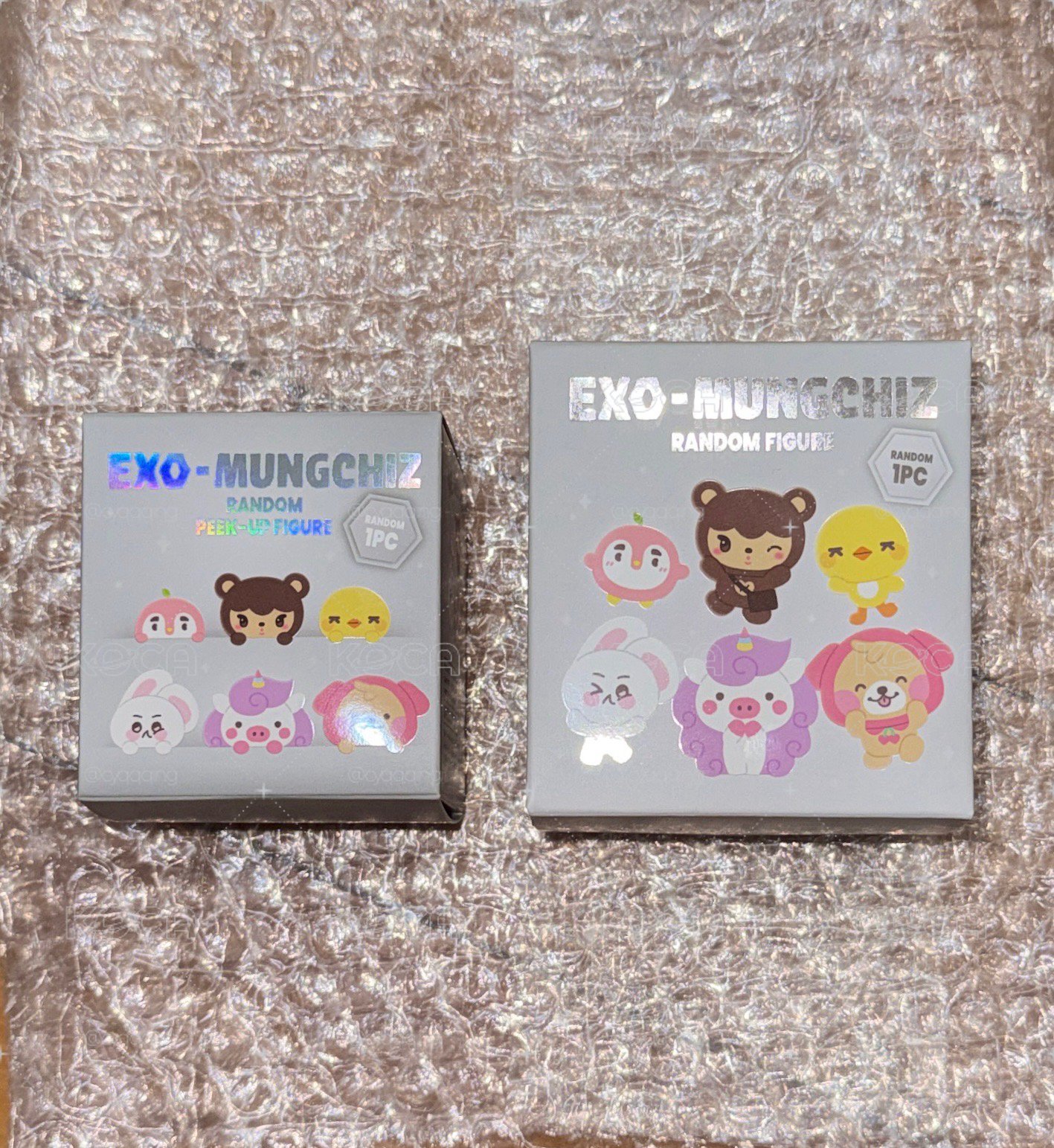 ［原價售］EXO MUNGCHIZ 盲盒