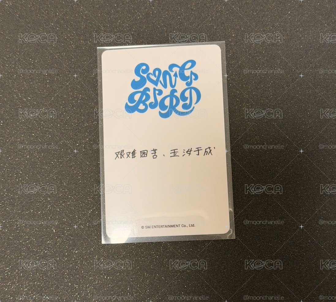 yushi kms中背 songbird 