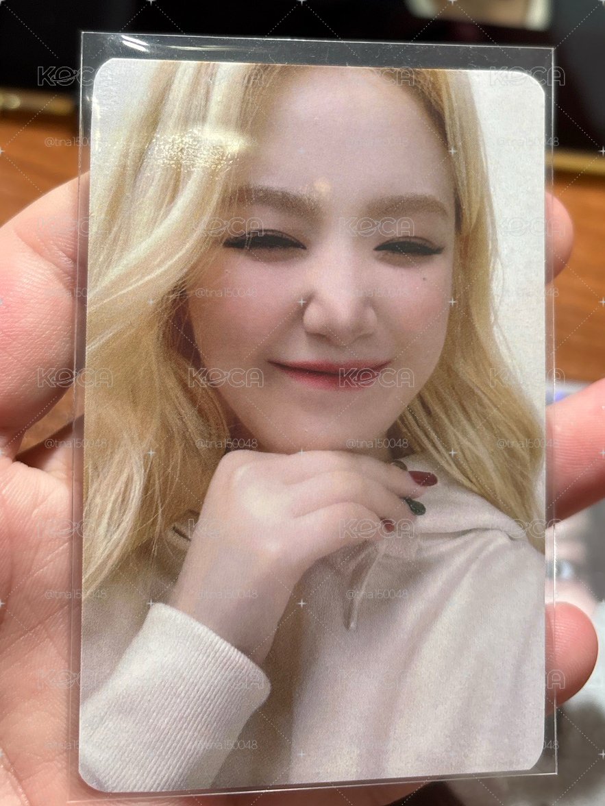 i-dle 舒華 ani cube anibear nft