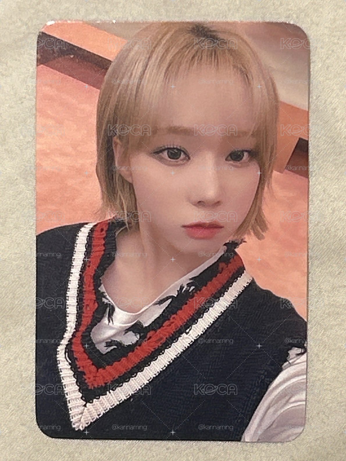 Girls Fansland 簽售卡 fl1.0簽售冬