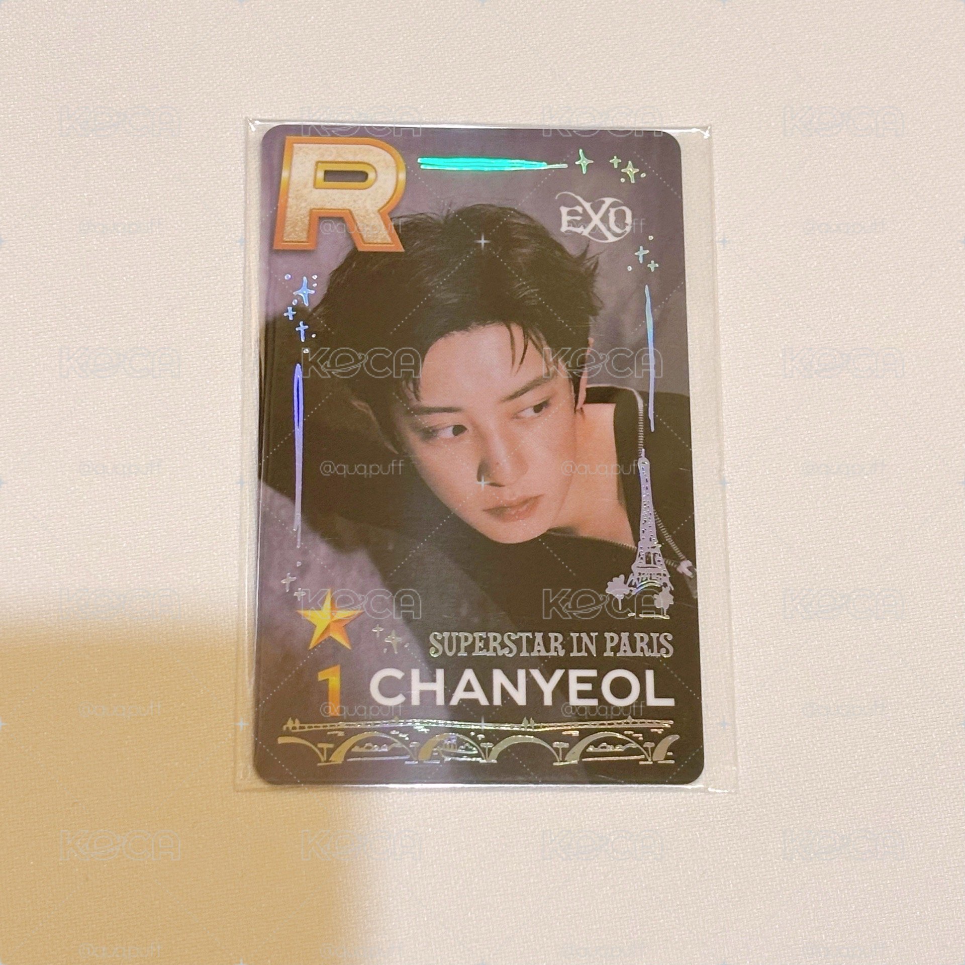 EXO 巴黎遊戲卡 （燦烈）