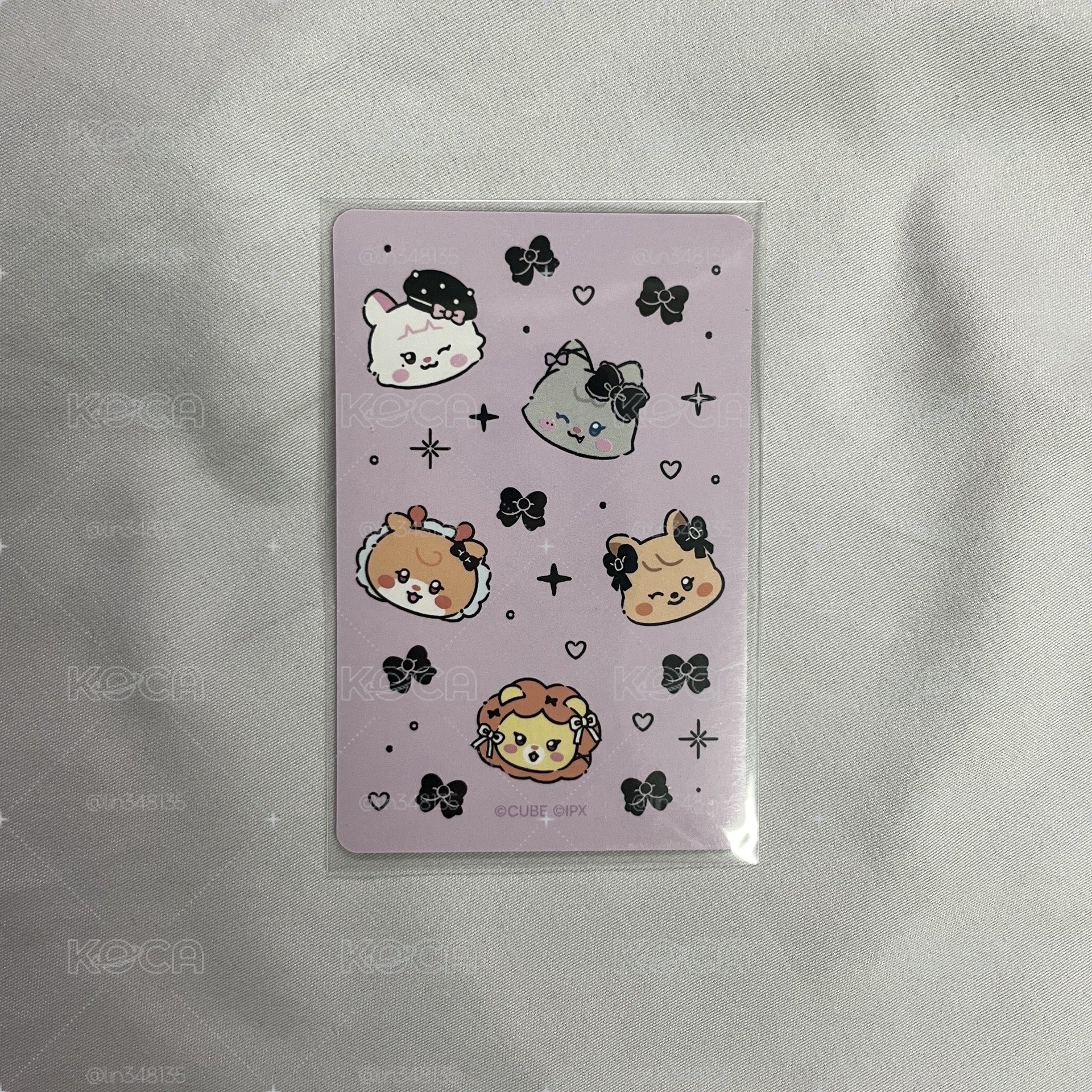 We are 快閃店 隨機卡 團卡