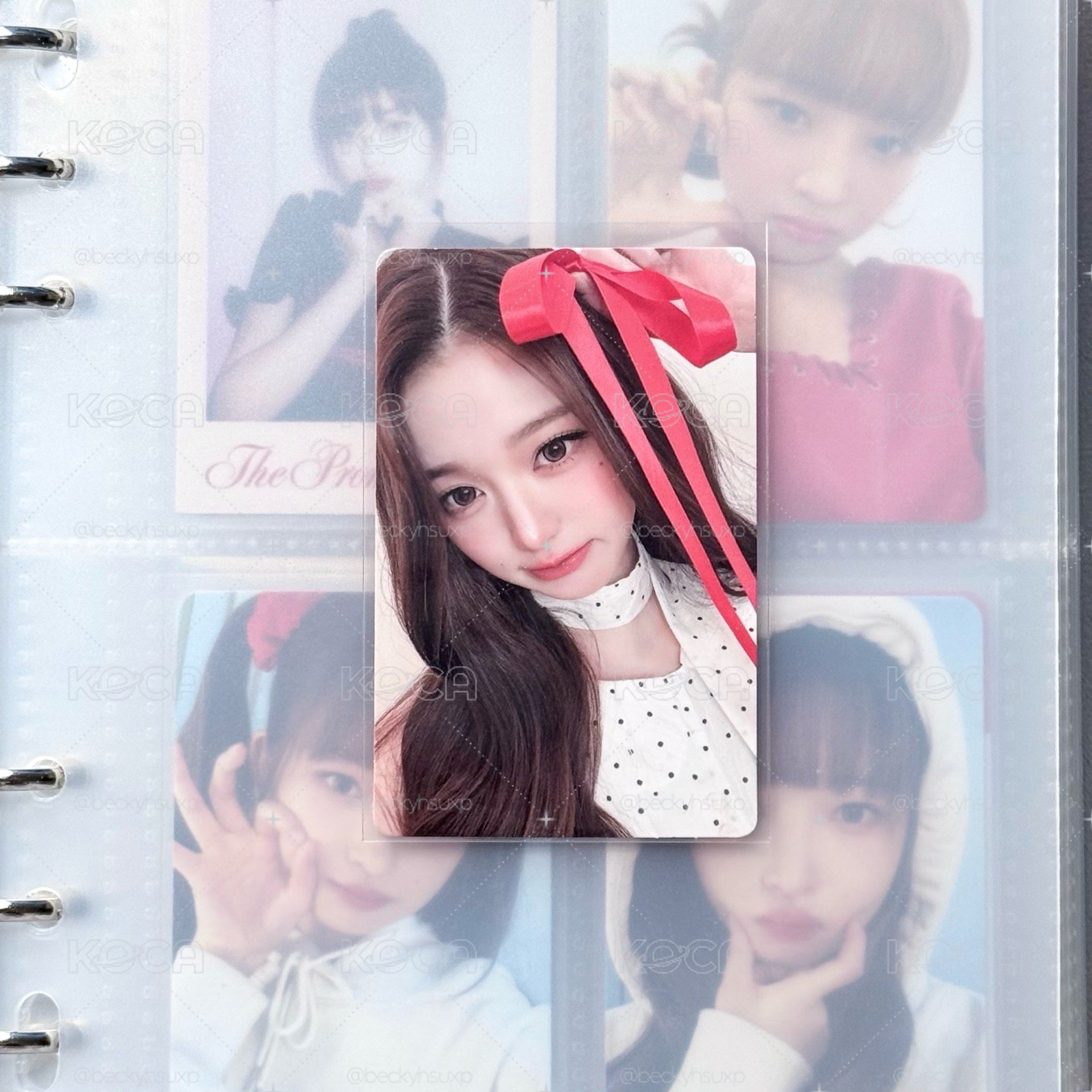 sw蝴蝶結員🎀