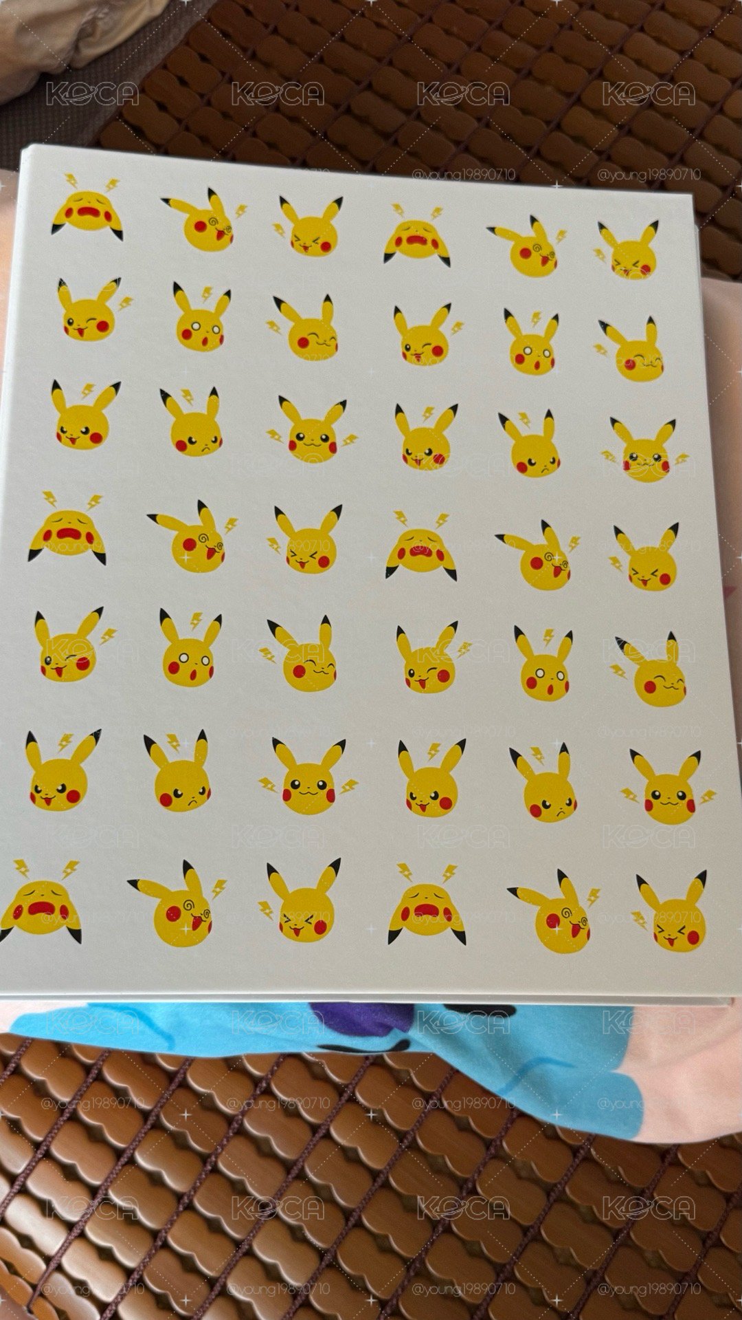 ⚡️pokemon 寶可夢 神奇寶貝 皮卡丘 卡冊 二手