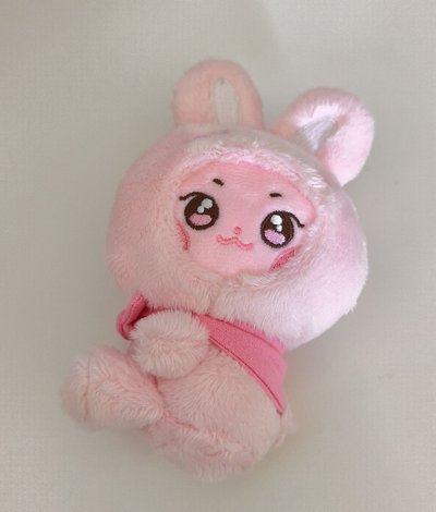 Search image