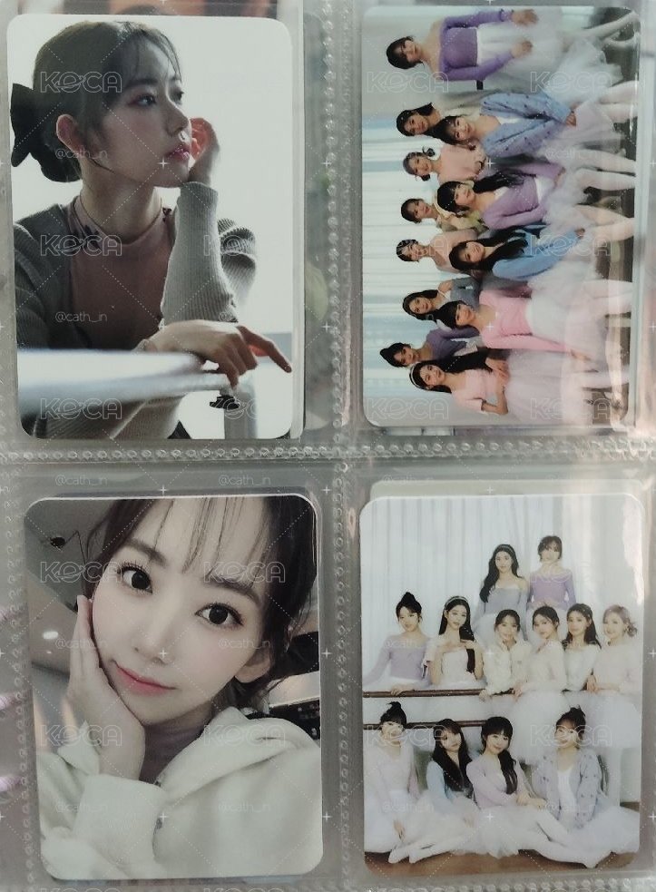 矮子丸D社雜誌櫻