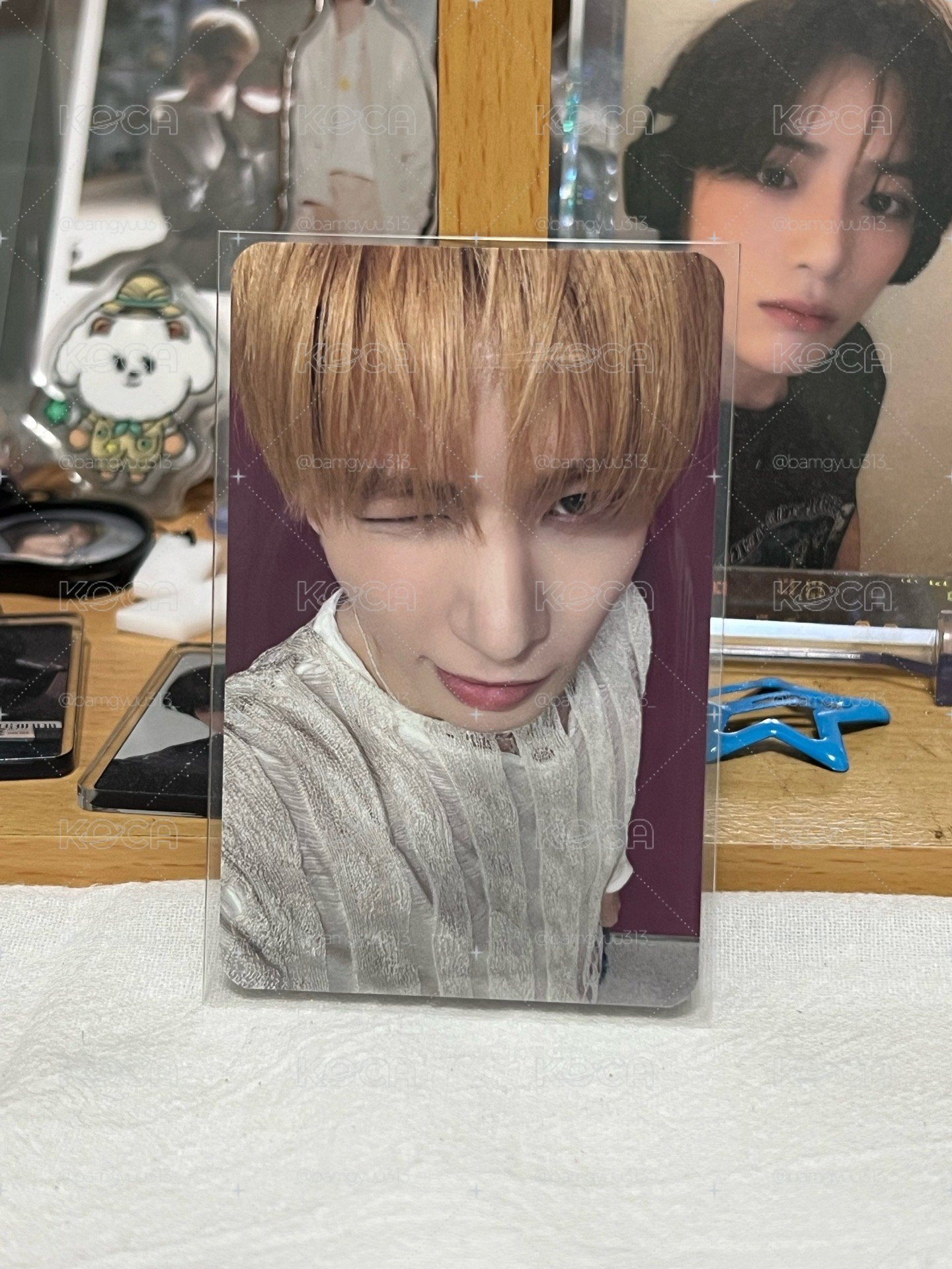 🤍眨眼小咪