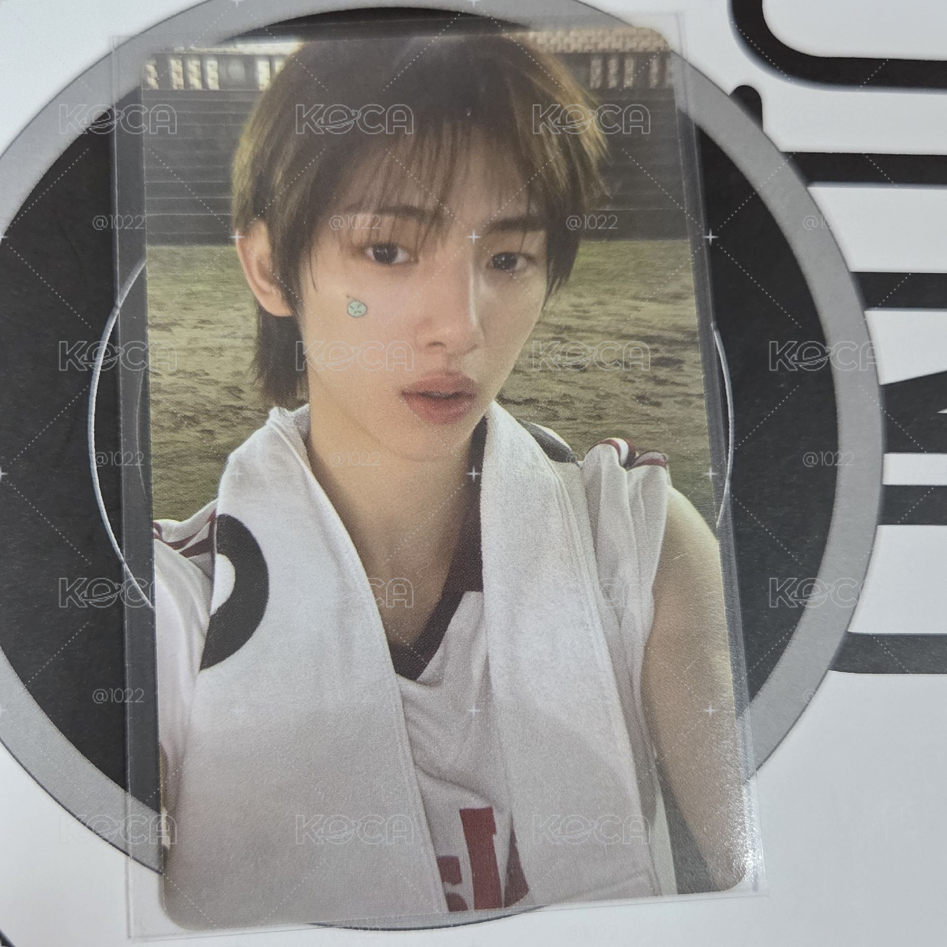 wvs訓 不綁 現貨速出