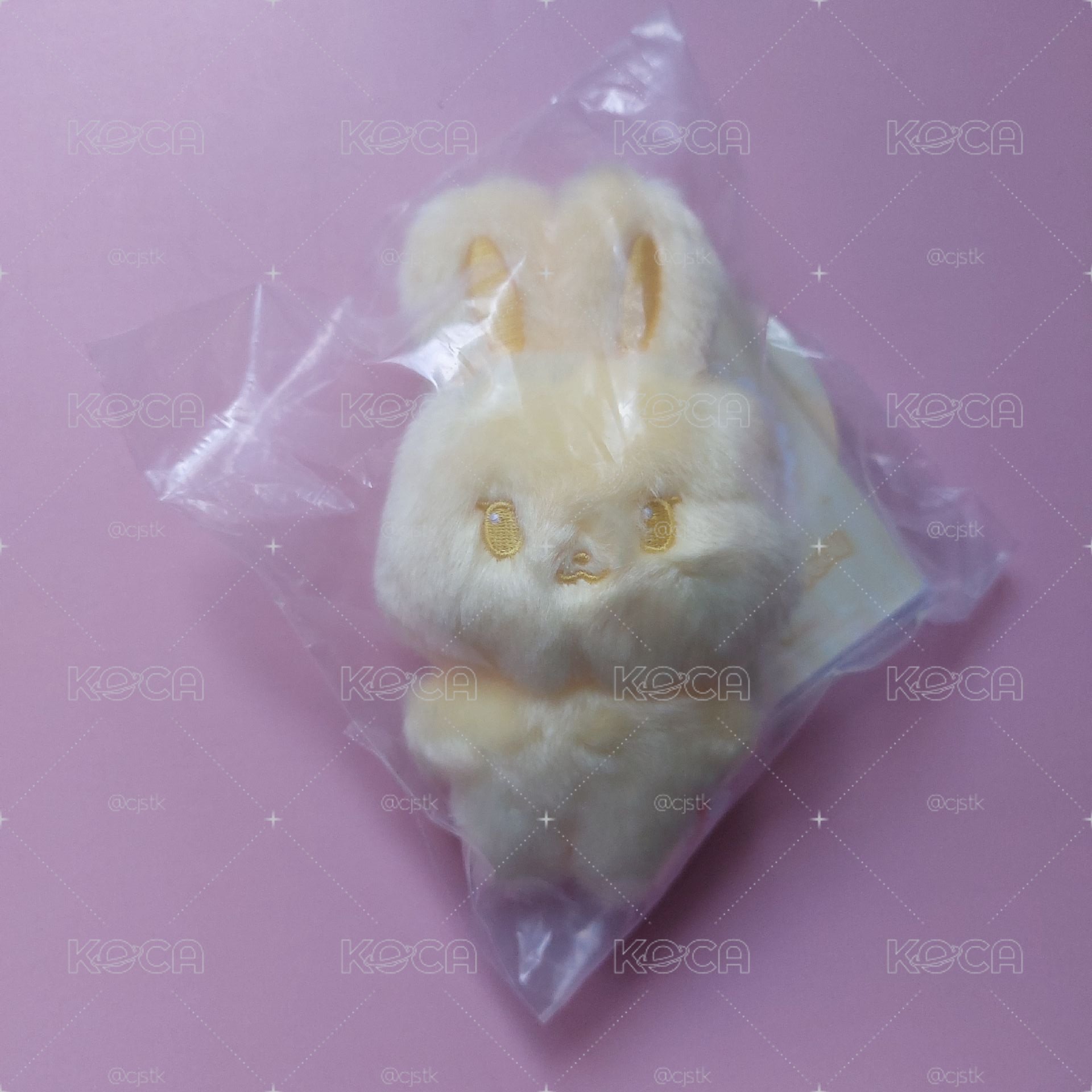 aniteez incolor 星化 異色娃 收納箱