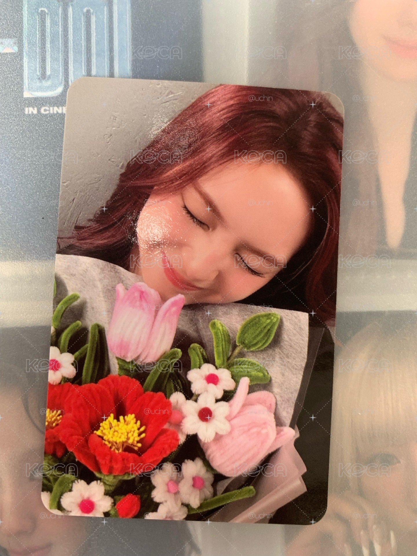 拿💐柒 （韓背
