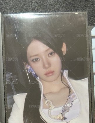茶