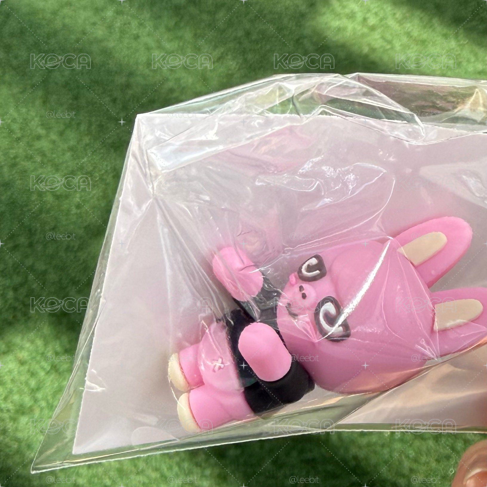 豬兔 未拆