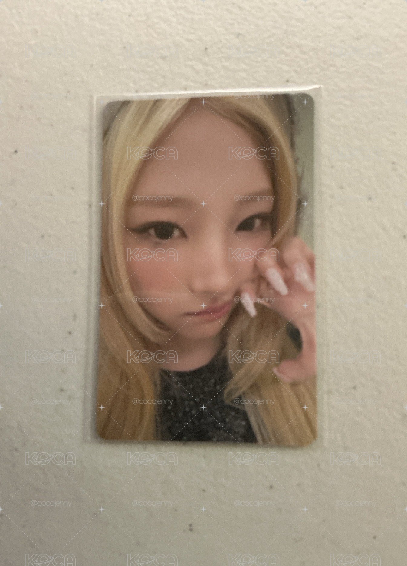 stella環球特典