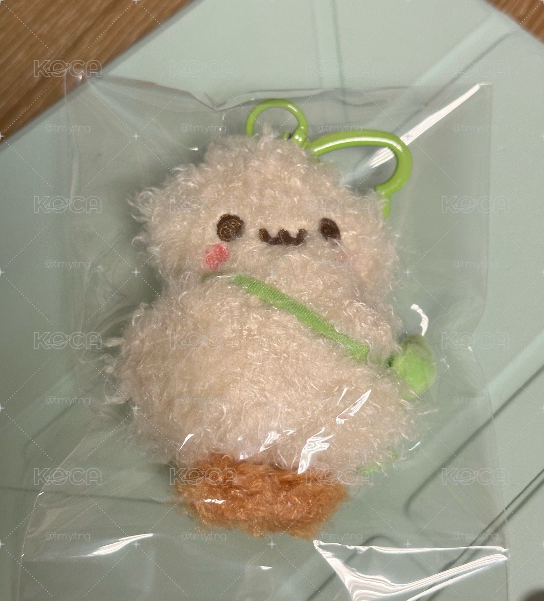 Ian原皮娃