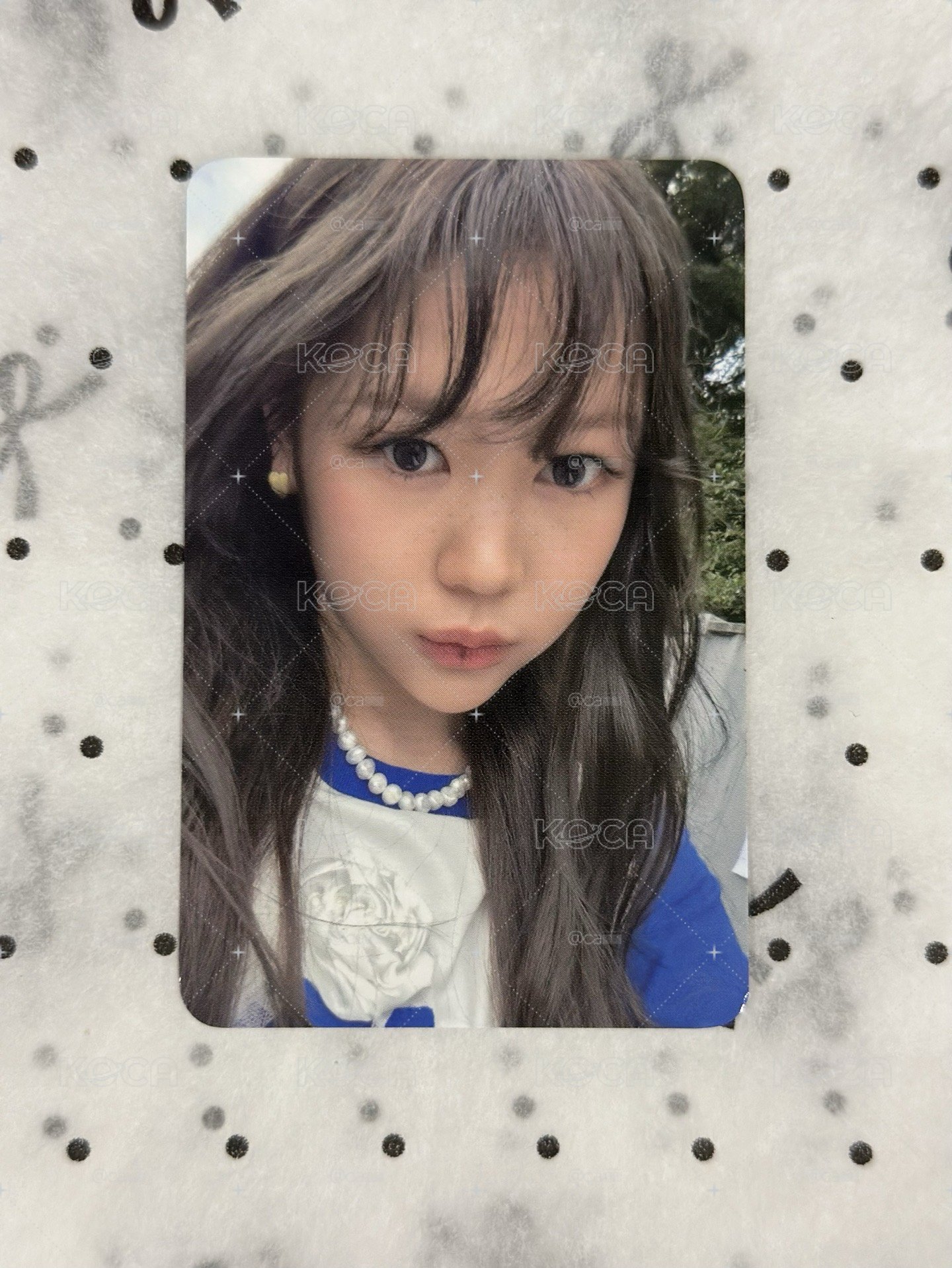 Focus k4 特典卡 奈延