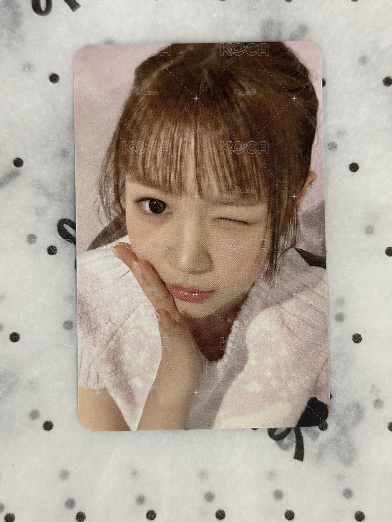 Focus ny 2.0 簽售卡 奈延