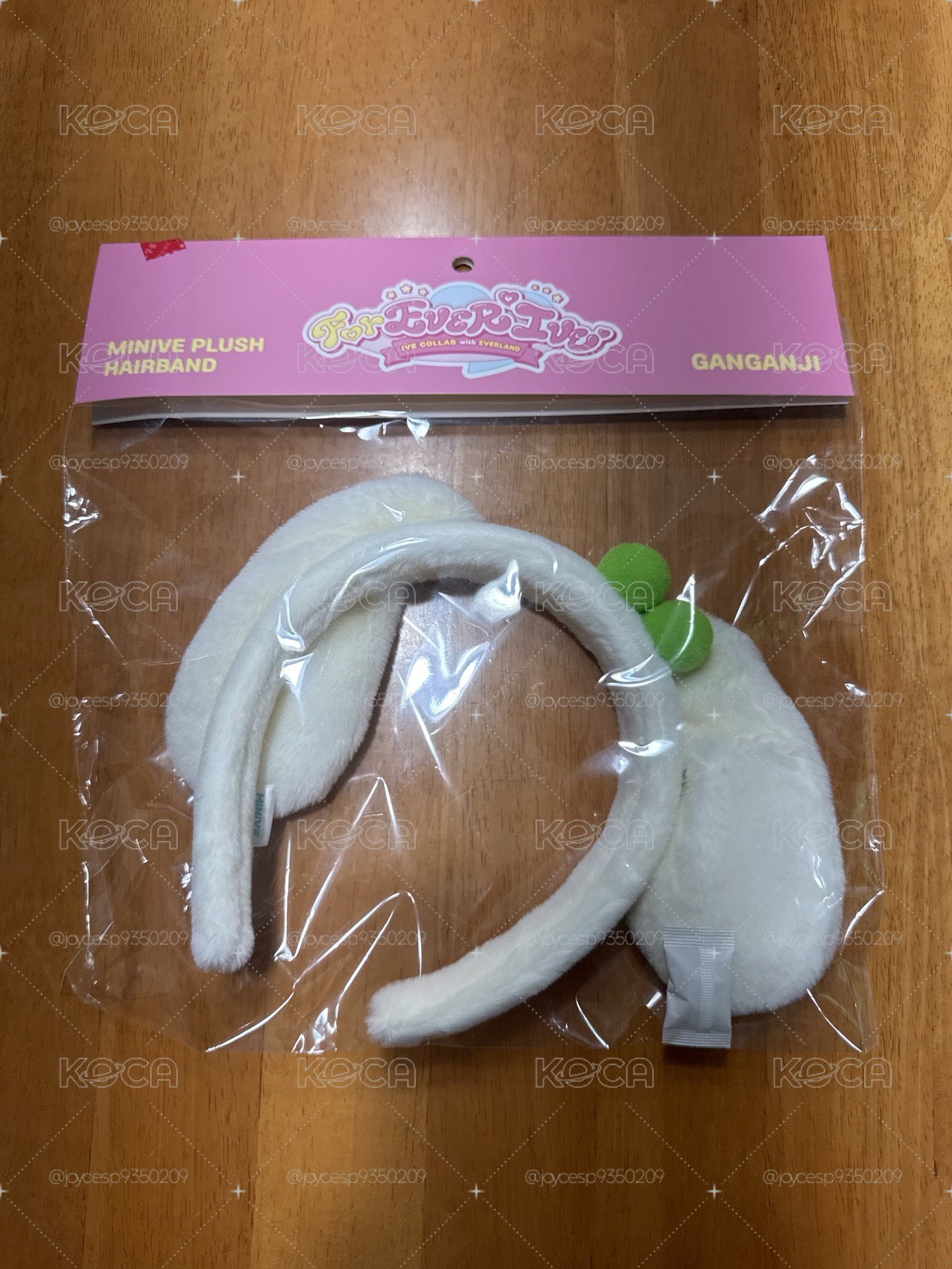 愛寶樂園 第二波安吉髮箍