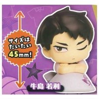 扭蛋盲盒 