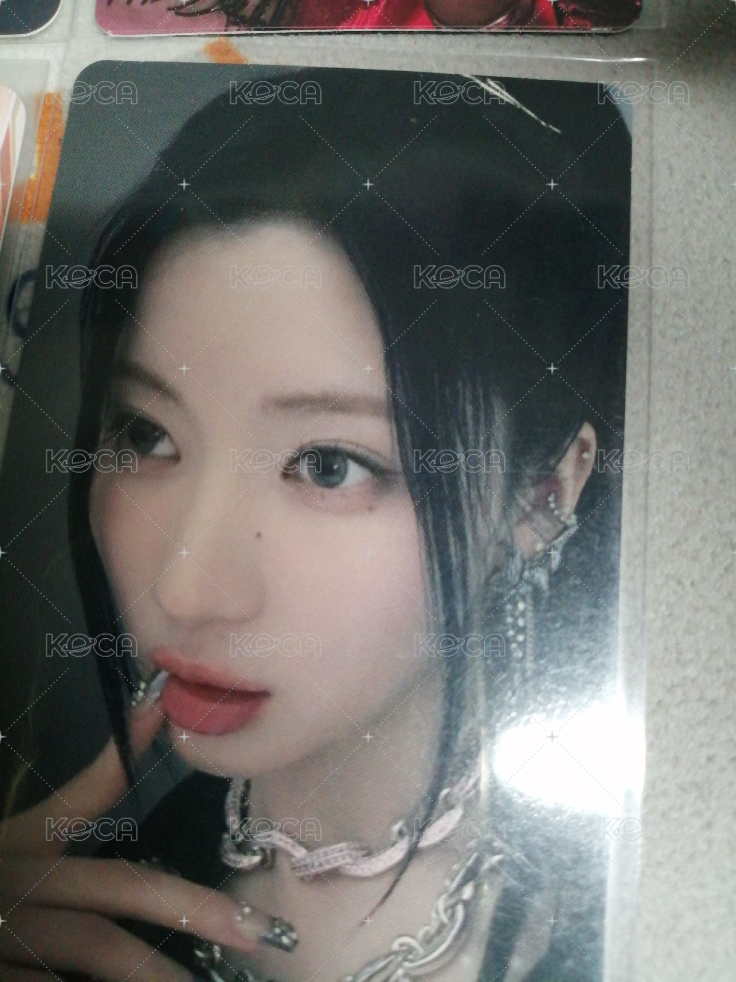 25世巡卡冊卡🐰