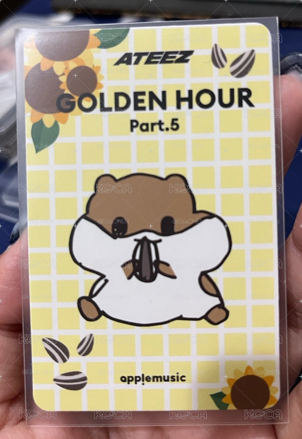 星化 GH5 倉鼠🐹