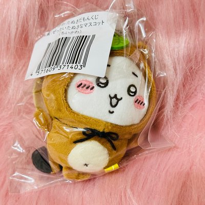 狸貓一番賞 吉伊 古本 兔兔