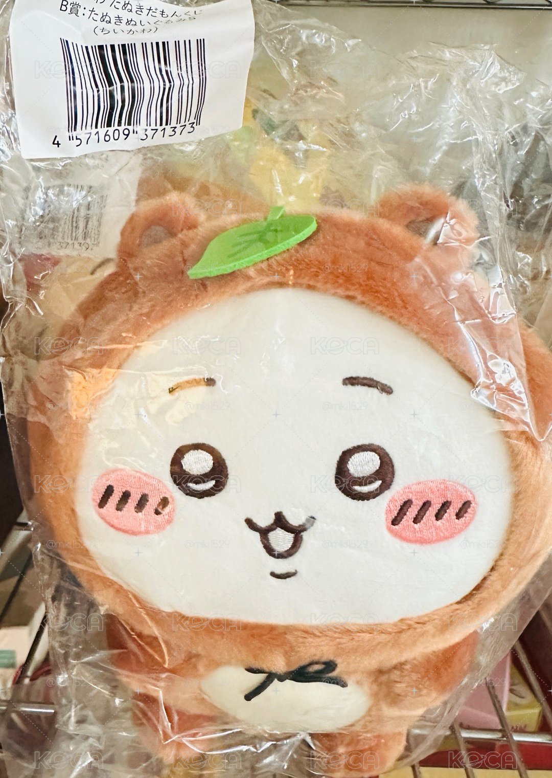 狸貓一番賞 吉伊 古本 兔兔