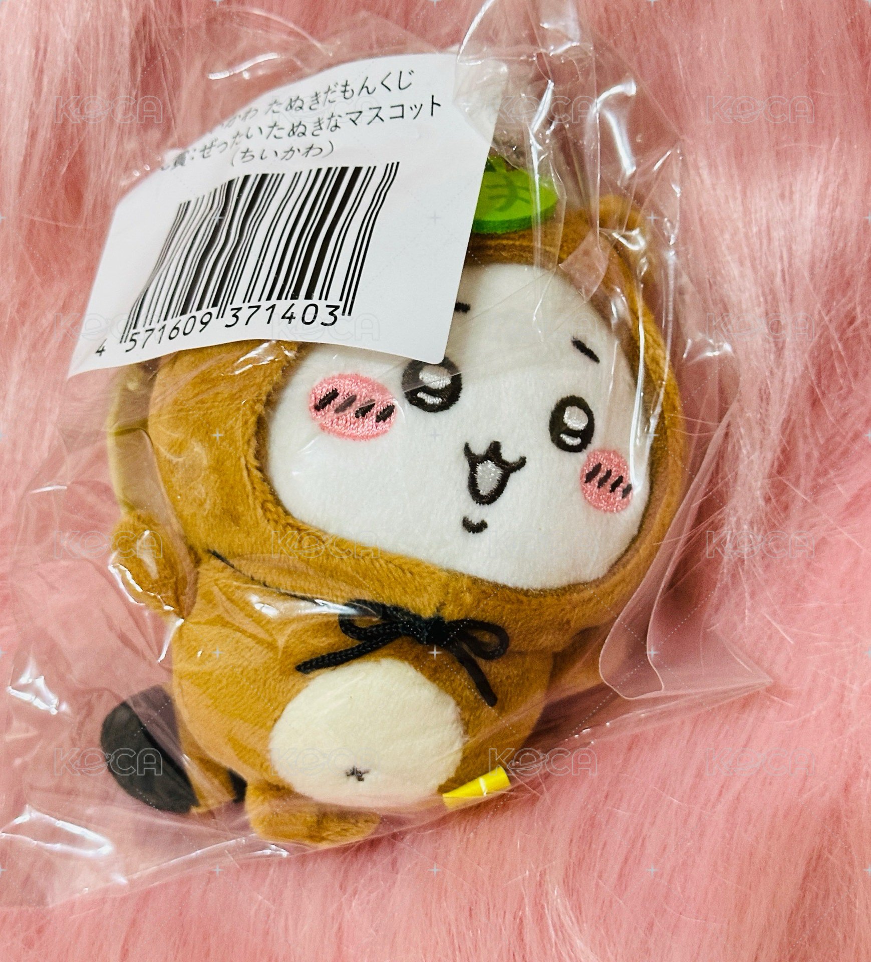 吉伊C賞