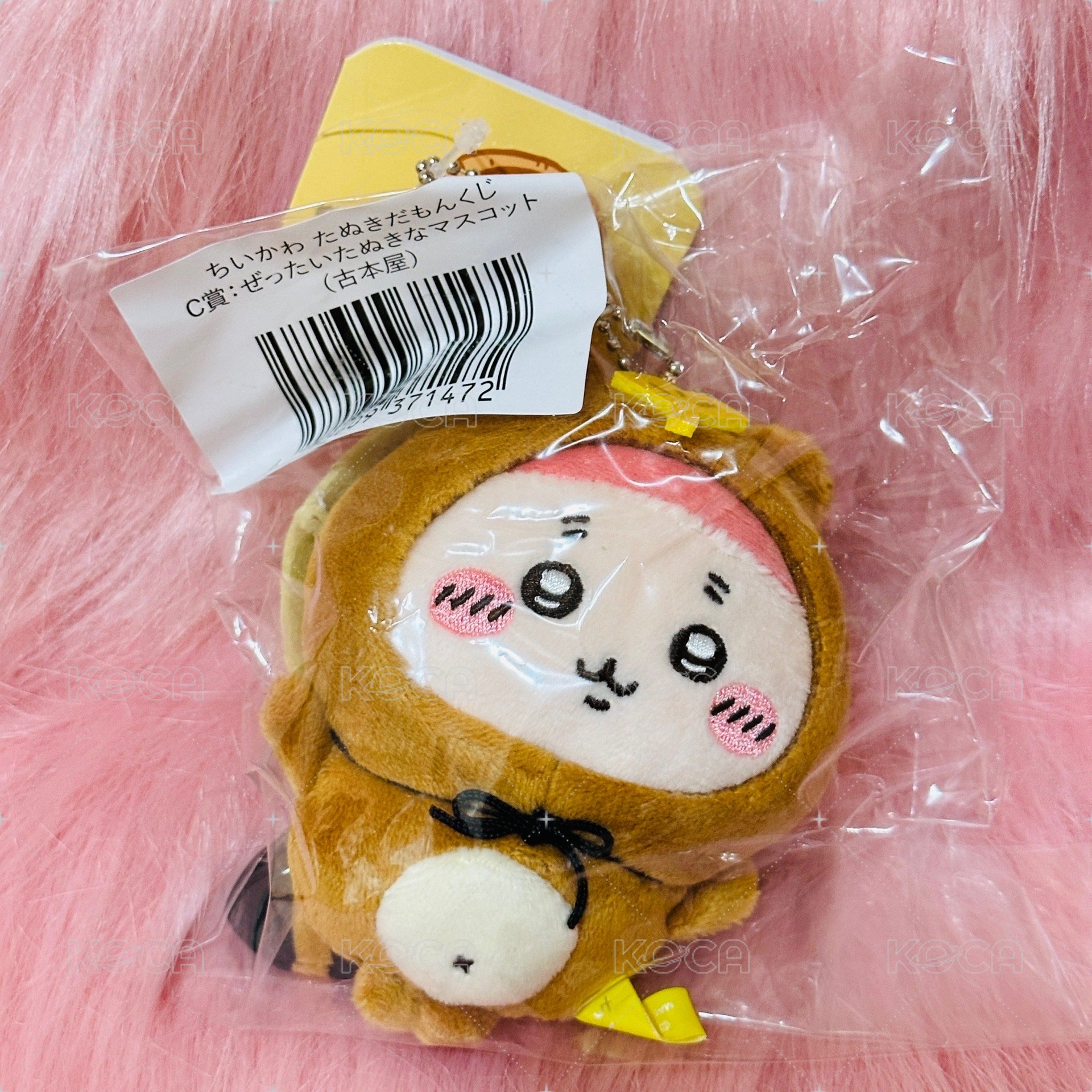 古本屋C賞