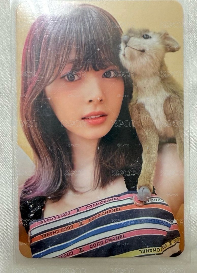 TWICE 子瑜 小鹿瑜