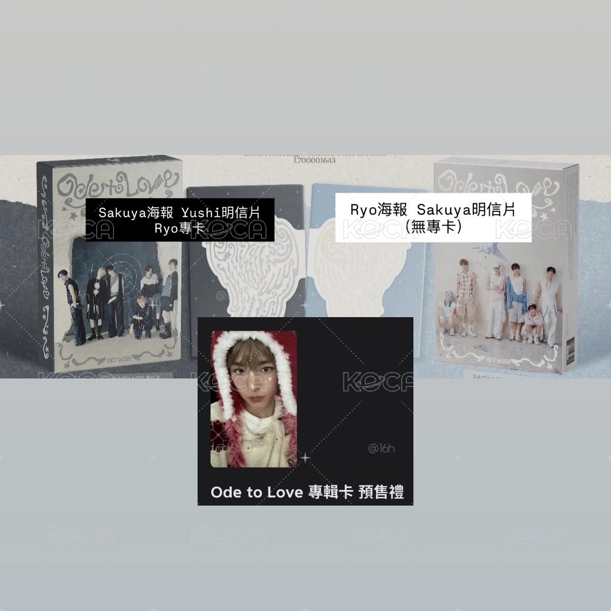 NCT WISH 全專含tt 志