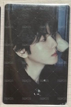 bolo5 kiwee②
