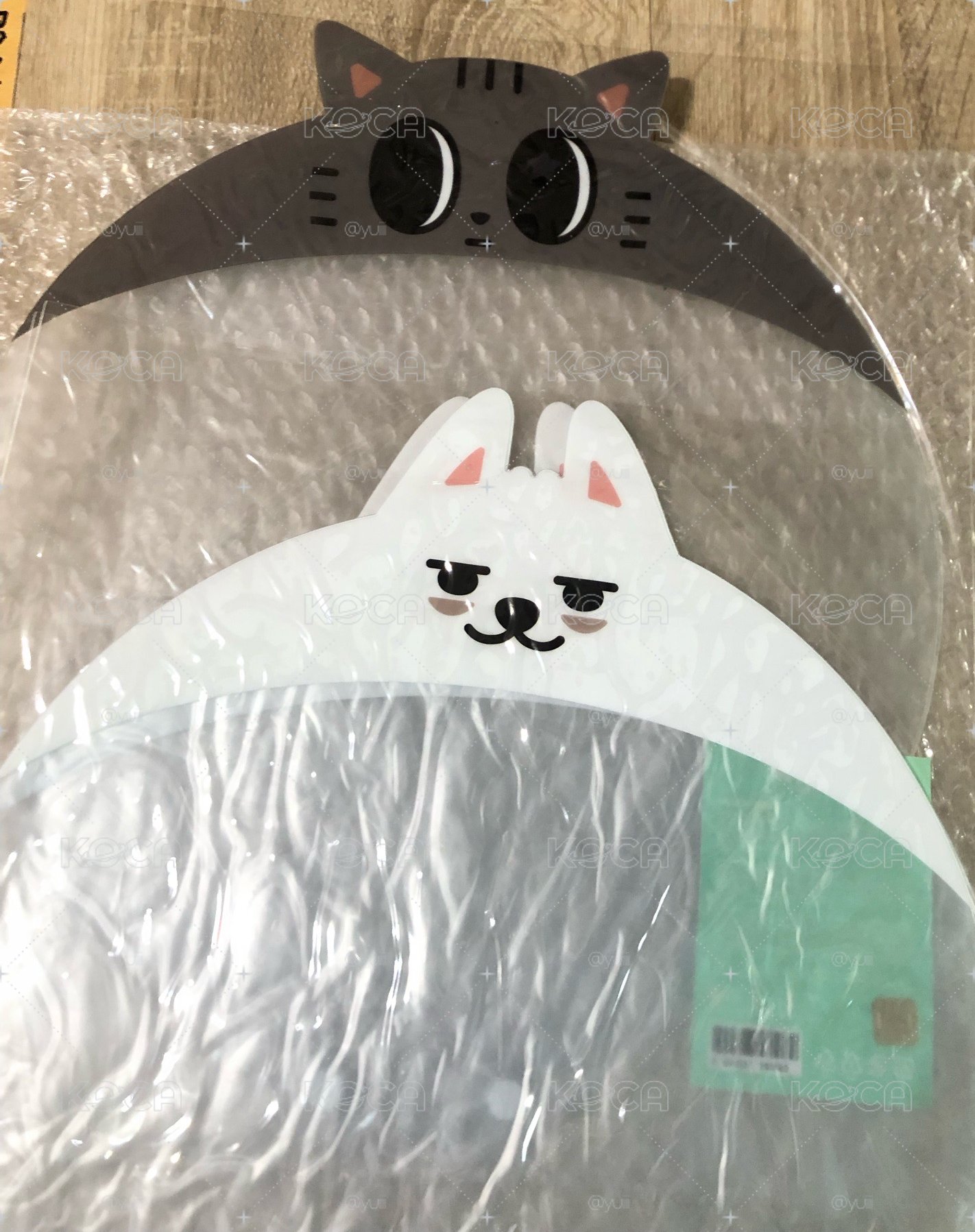 （現貨）TOMORROW 巡演 韓扇