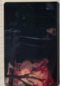 bolo5 essence 閃卡