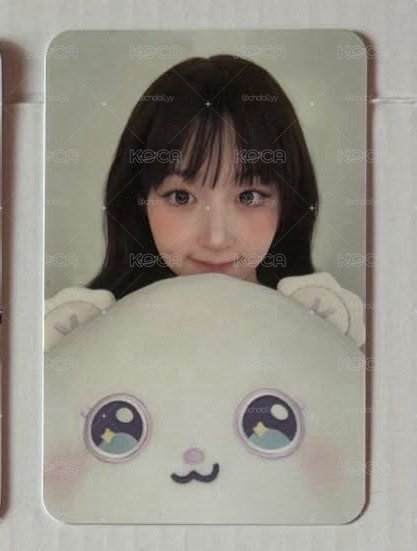 海嫄抱枕卡非現